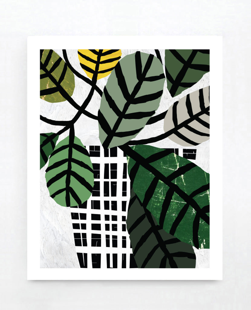 Wax Leaf Plant Art Print
