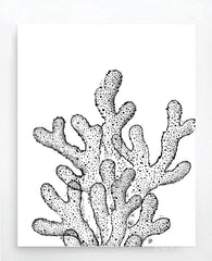 Ghost Coral Art Print